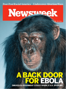 chimp ebola