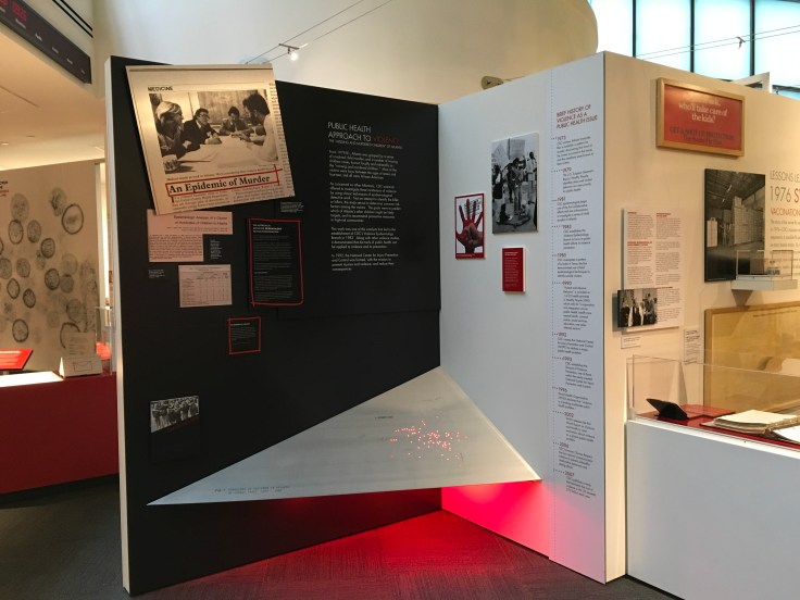 IMG_0748_Public Health Approach to Violence